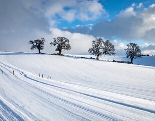 Obraz premium Wintery scene of snowy field with 4 bare trees under a cloudy sky, tyre tracks lead to the horizon