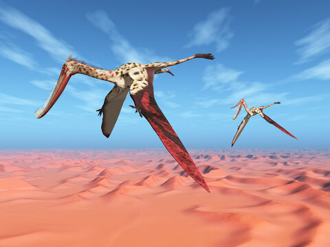 Flugsaurier Pterodaustro &uuml;ber einer W&uuml;stenlandschaft
