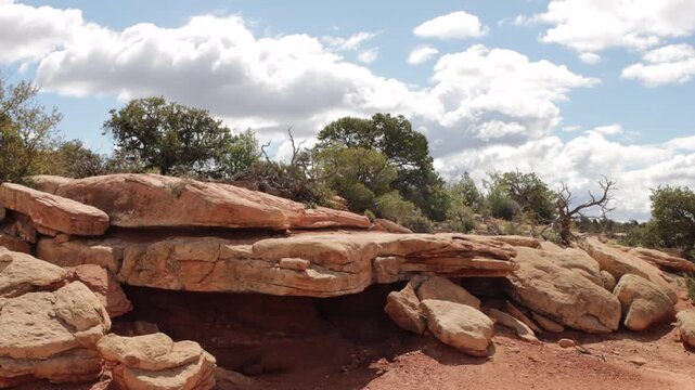 A pinyon-juniper woodland with shelf-like rocks in Capitol Reef National Park in Utah