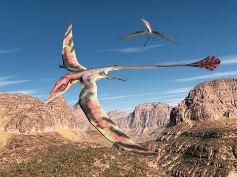 Flugsaurier Eudimorphodon &uuml;ber einer Gebirgslandschaft
