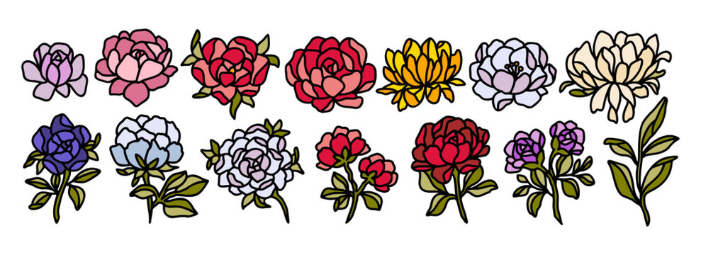 Collection of colorful hand drawn botanical dog rose, chrysanthemum, and peony garden floral clipart illustration elements for decoration, prints, beauty products, branding, feminine logo