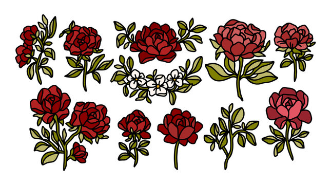 Collection of colorful hand drawn botanical red rose and peony garden floral clipart illustration elements for decoration, prints, beauty products, branding, feminine logo