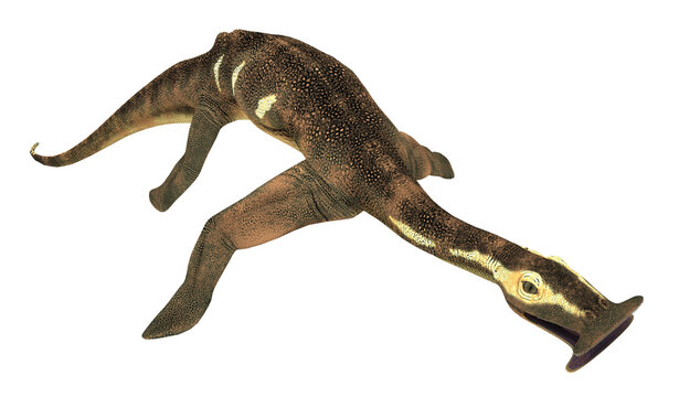 Pr&auml;historisches Meeresreptil Atopodentatus, Freisteller
