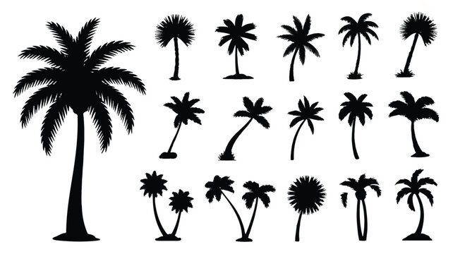Collection of various palm tree silhouettes in different poses and sizes on white background