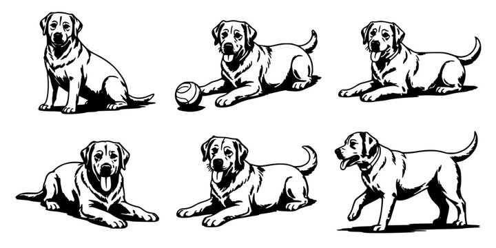 Dogs in Various Poses with a Ball, Illustrated in Black and White Featuring Dog, Playful, Sitting with Lying and Standing Elements for Illustration