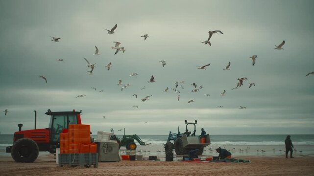 Fishermen sorting fresh catch on a beach with flying seagulls