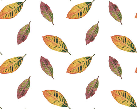 Bright floral print. Leaves seamless pattern. Kroton or codiaeum plant. Nature background. Vector.
