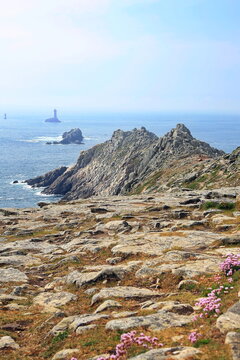 Raue Felsklippen fallen steil in den Atlantik ab, w&auml;hrend im Hintergrund die ber&uuml;hmten Leuchtt&uuml;rme Phare de la Vieille und T&eacute;vennec aus den unruhigen Wellen ragen.
