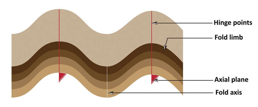 Anatomical diagram of the geological elements of a tectonic fold.