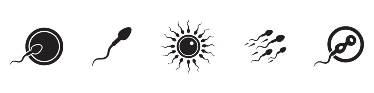 Sperm and egg cell fertilization process icon set. Human reproduction, artificial insemination, pregnancy planning and embryology symbols. Vector illustration.