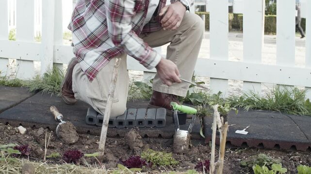 Senior Man Gardening and Digging Hole with Bulb Planter Tool