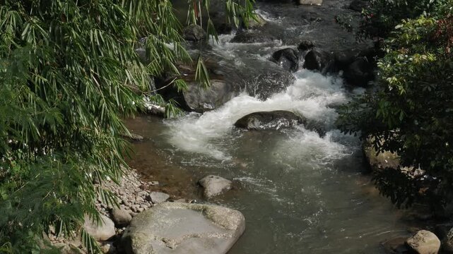 A peaceful horizontal video with smooth long exposure water effect flowing through rocks in a lush green jungle, perfect for a seamless looping background.