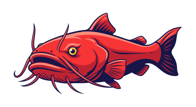 Red Catfish Freshwater Fish Species Portrait.