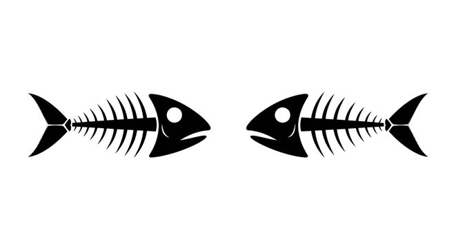 Fish skeleton side by side bones.