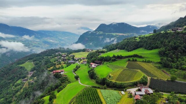 Alpine village and vineyard fields on green hillside with low clouds, aerial view of South Tyrol, Dolomites, Italy