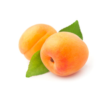 Sweet apricots with leaves on white backgrounds