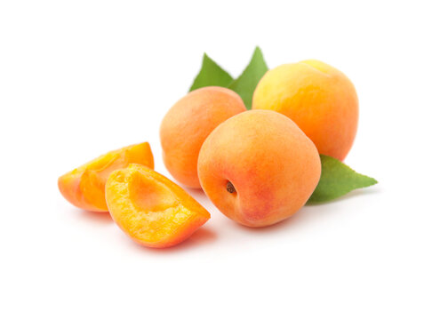 Apricots fruit with leaves