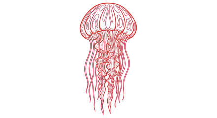 Fototapeta premium Pink Jellyfish With Long Tentacles Swimming.