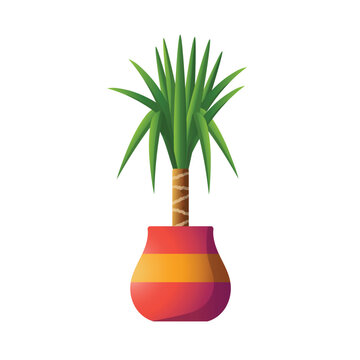 Yucca cane plant in pot, yucca cane icon vector, indoor potted plants, interior home decoration, yucca cane plant vector illustration
