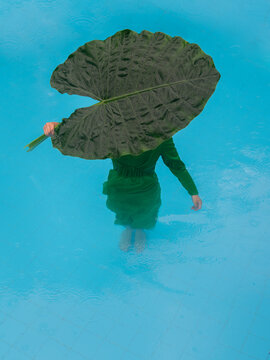 Girl in dress in swimming pool hiding under large foliage leaf