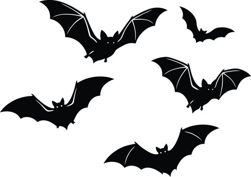 halloween bat and bats
