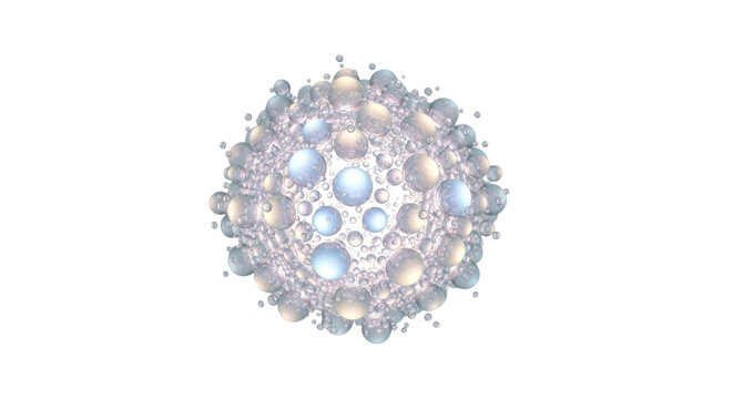 Detailed 3D Model of a Viral Capsid