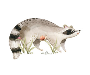 Obraz premium Watercolor cute baby raccoon animal. Woodland nursery isolated whimsical illustration soft pastel for children. watercolour stump and acorn forest drawing with floral elements. Butterfly 