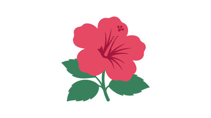 Vibrant Pink Hibiscus Flower with Green Leaves on White Background, Tropical Bloom © Sidorejo