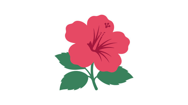 Vibrant Pink Hibiscus Flower with Green Leaves on White Background, Tropical Bloom