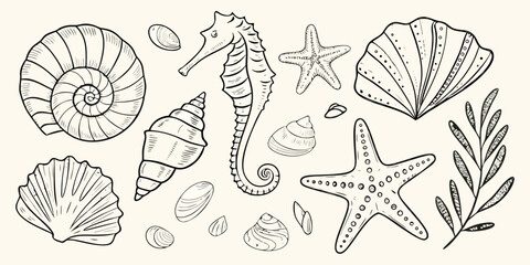 Seashells seahorse and starfish sketch illustration black and white line art © Dilip
