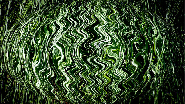 Junco de Cebra foto en forma de esfera abstracta.
