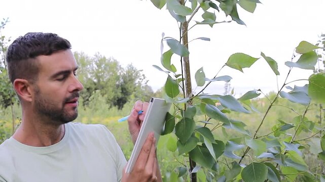 Inspector Using a Notebook To Write the Evaluation of a Poplar Tree Health