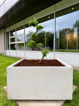 donica betonowa