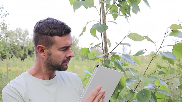 Inspector Using a Notebook To Write the Evaluation of a Poplar Tree Health