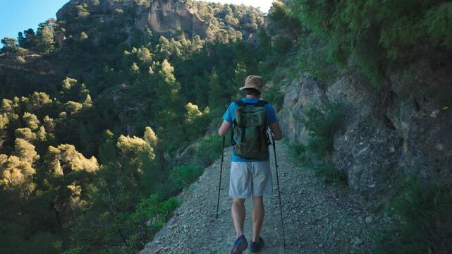 Hiker with backpack walking a rocky mountain trail using trekking poles in a summer forest