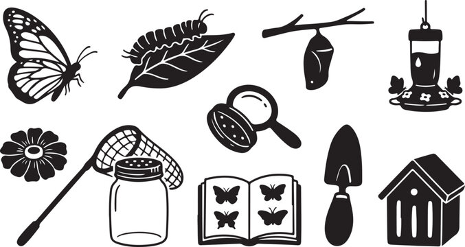 Black and white of butterflies, moths, beetles, dragonflies, and symbolic butterfly dragonfly