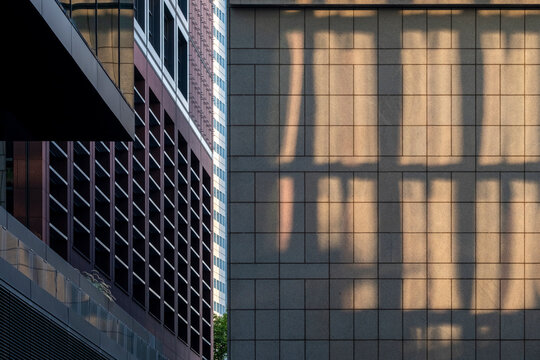 Facade shadow and reflection cross office windows, where grid sunlight and glass pattern shape the urban wall into layered geometry