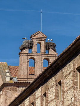 3 Cigue&ntilde;as en sus nidos en una de las iglesias de Alcal&aacute; de Henares en Madrid, espa&ntilde;a