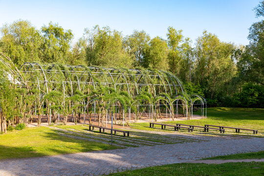 Willow cathedral or willow dome in IGA park in Rostock, Germany. Arch construction