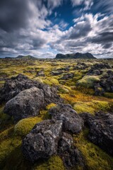 Fototapeta premium Icelandic lava field with moss-covered rocks and dramatic sky