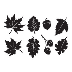 Elegant autumn leaf silhouette collection featuring maple, oak, and acorn elements in a minimalist style. © Protima