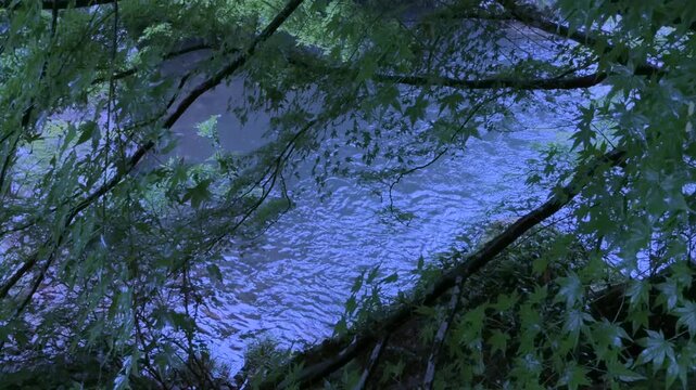 滝のそばで聴く大迫力の水音