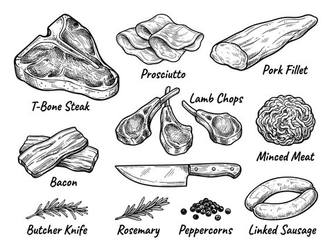 Hand drawn ink sketch of raw meat cuts, beef steak, lamb chop and butcher knife, isolated on white background