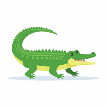 Cartoon Green Alligator Illustration