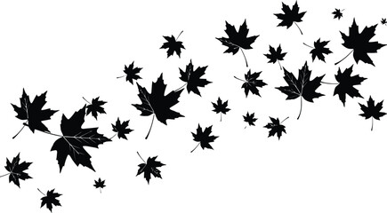 Fototapeta premium Falling maple leaves in autumn wind isolated on transparent background, isolated on white background, Vector