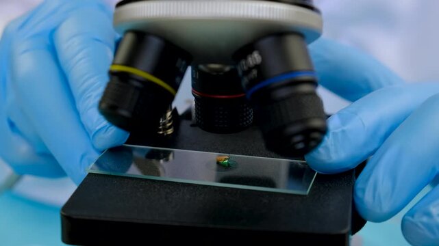 The tick laboratory is conducting an analysis. Selective focus.