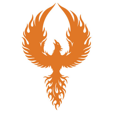 fiery phoenix bird silhouette rising with flames in dramatic orange glow minimalist design
