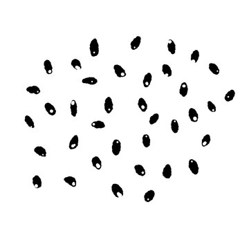 Scattered Black or White Sesame Seeds Illustration Graphic