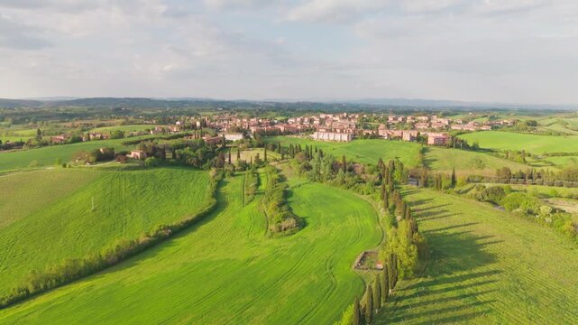 Drone flying above a cypress‑lined road near San Rocco a Pilli, following the trees toward the town with rolling Tuscan hills in warm afternoon light. Near Siena, Italy.