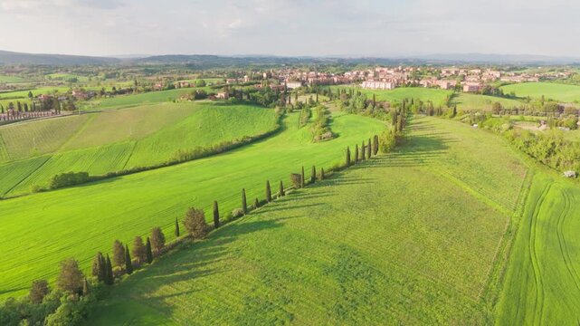Drone lifting and sliding over the Tuscan landscape near San Rocco a Pilli, then following a line of cypress trees along the road in warm afternoon light.
Italy, near Siena.